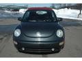 Platinum Grey Metallic - New Beetle GLS Convertible Photo No. 2