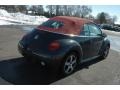 Platinum Grey Metallic - New Beetle GLS Convertible Photo No. 6