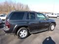 2003 Dark Gray Metallic Chevrolet TrailBlazer LS 4x4  photo #6