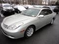 Millennium Silver Metallic - ES 300 Photo No. 1