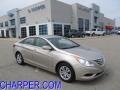 Camel Pearl - Sonata GLS Photo No. 1