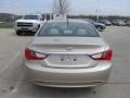 Camel Pearl - Sonata GLS Photo No. 8
