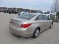 Camel Pearl - Sonata GLS Photo No. 9