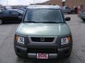 2004 Galapagos Green Metallic Honda Element EX AWD  photo #8