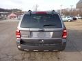 2010 Sterling Grey Metallic Ford Escape XLT 4WD  photo #3