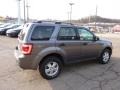 2010 Sterling Grey Metallic Ford Escape XLT 4WD  photo #4