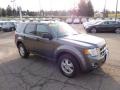 2010 Sterling Grey Metallic Ford Escape XLT 4WD  photo #6