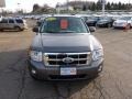 2010 Sterling Grey Metallic Ford Escape XLT 4WD  photo #7