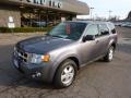 2010 Sterling Grey Metallic Ford Escape XLT 4WD  photo #8