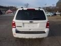 2010 White Suede Ford Escape XLT 4WD  photo #3