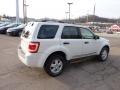 2010 White Suede Ford Escape XLT 4WD  photo #4