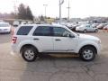 2010 White Suede Ford Escape XLT 4WD  photo #5