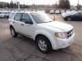 2010 White Suede Ford Escape XLT 4WD  photo #6