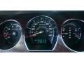 Light Stone Gauges Photo for 2010 Ford Taurus #47176989