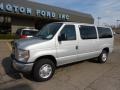 Ingot Silver Metallic - E Series Van E350 XLT Passenger Photo No. 8