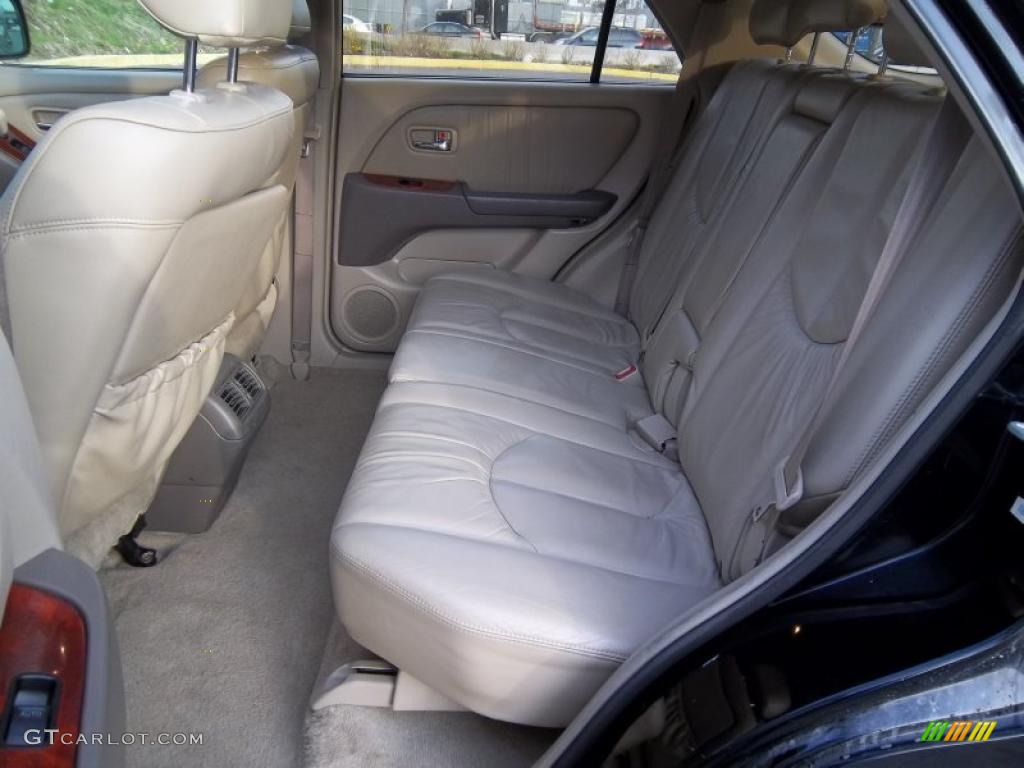 2001 RX 300 AWD - Black Onyx / Ivory photo #9