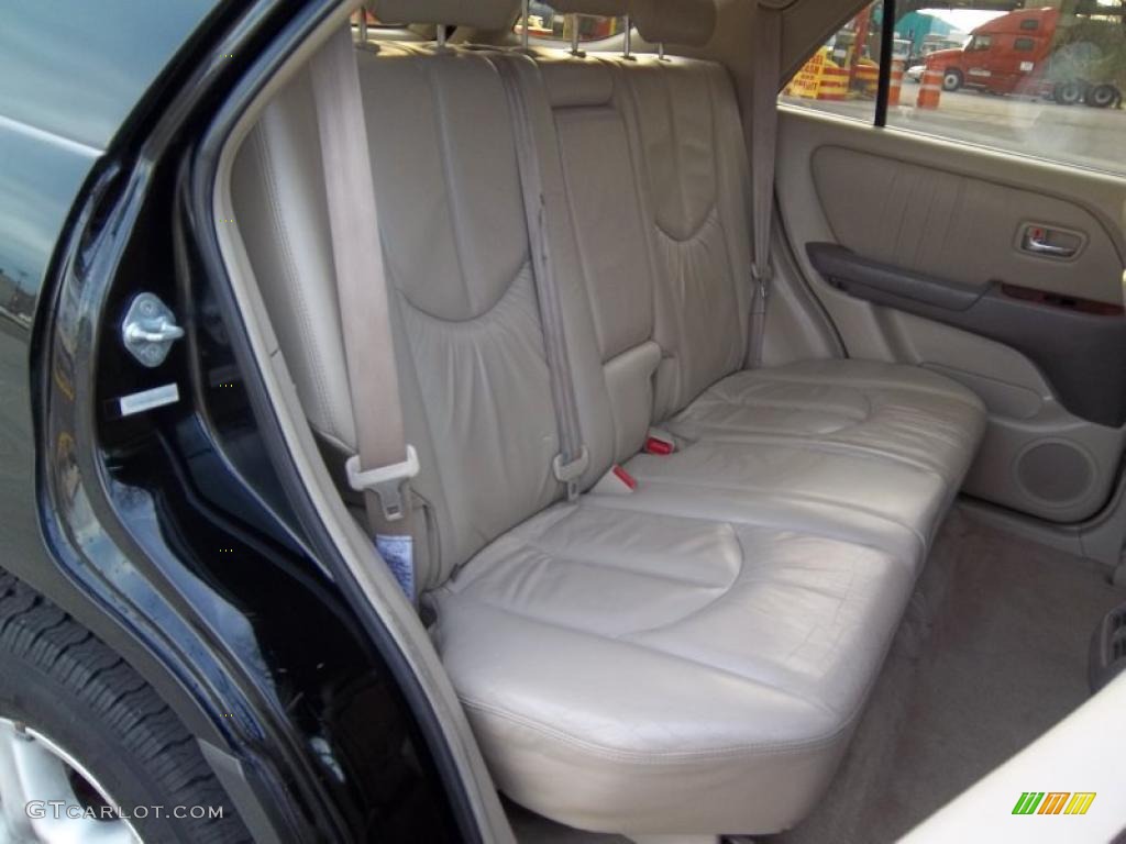 2001 RX 300 AWD - Black Onyx / Ivory photo #12