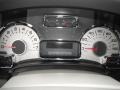 Stone Gauges Photo for 2011 Ford Expedition #47182696