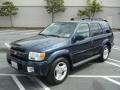 2002 Midnight Blue Metallic Infiniti QX4 4x4  photo #3