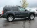 2010 Night Armor Metallic Nissan Xterra SE 4x4  photo #3