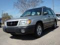 Silverthorn Metallic - Forester 2.5 L Photo No. 1