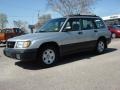 Silverthorn Metallic - Forester 2.5 L Photo No. 2