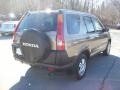 Mojave Mist Metallic - CR-V EX 4WD Photo No. 24