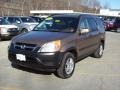 Mojave Mist Metallic - CR-V EX 4WD Photo No. 28