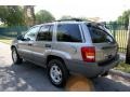 Taupe Frost Metallic - Grand Cherokee Laredo 4x4 Photo No. 6