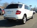 Arctic White - ML 350 4Matic Photo No. 4