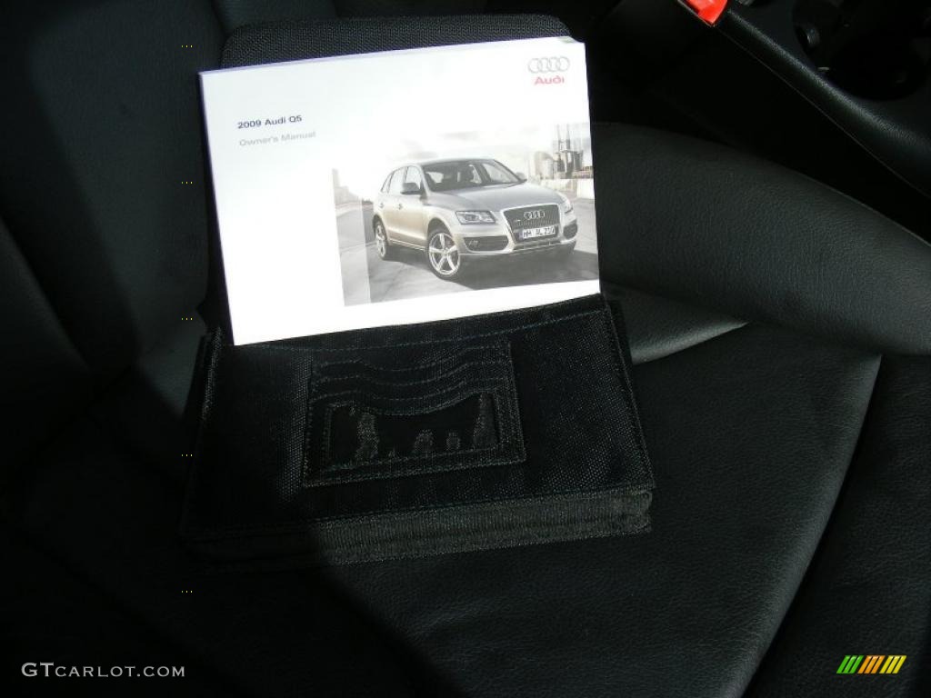 2009 Q5 3.2 Premium quattro - Ice Silver Metallic / Black photo #32