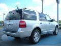 Ingot Silver Metallic 2011 Ford Expedition Limited Exterior