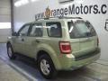 2008 Light Sage Metallic Ford Escape XLS  photo #7