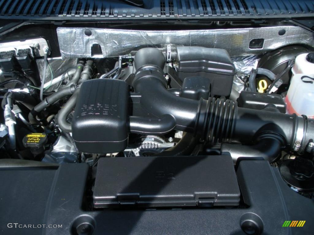 2010 Ford Expedition EL King Ranch 5.4 Liter Flex-Fuel SOHC 24-Valve VVT V8 Engine Photo #47209307