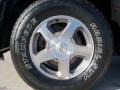 Indigo Blue Metallic - TrailBlazer LS 4x4 Photo No. 25