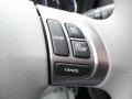Platinum Controls Photo for 2011 Subaru Forester #47211914