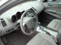 Liquid Silver Metallic - Maxima 3.5 SE Photo No. 13