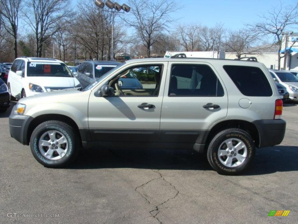 Gold Ash Metallic 2005 Ford Escape XLT V6 4WD Exterior Photo #47214401