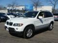 Alpine White - X5 3.0i Photo No. 1