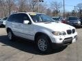 Alpine White - X5 3.0i Photo No. 3
