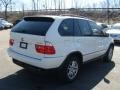 Alpine White - X5 3.0i Photo No. 5