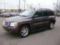 Medium Brown Metallic - Envoy SLT 4x4 Photo No. 2