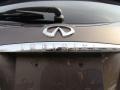 2006 Beryllium Metallic Infiniti FX 35 AWD  photo #14