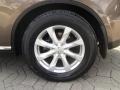 2006 Beryllium Metallic Infiniti FX 35 AWD  photo #22
