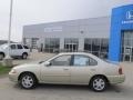 Cultured Sandstone Pearl Metallic - Altima XE Photo No. 2