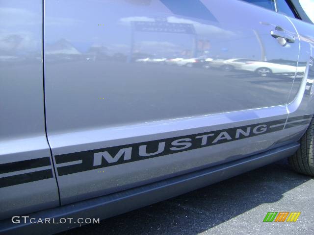 2006 Mustang V6 Premium Convertible - Tungsten Grey Metallic / Light Graphite photo #9