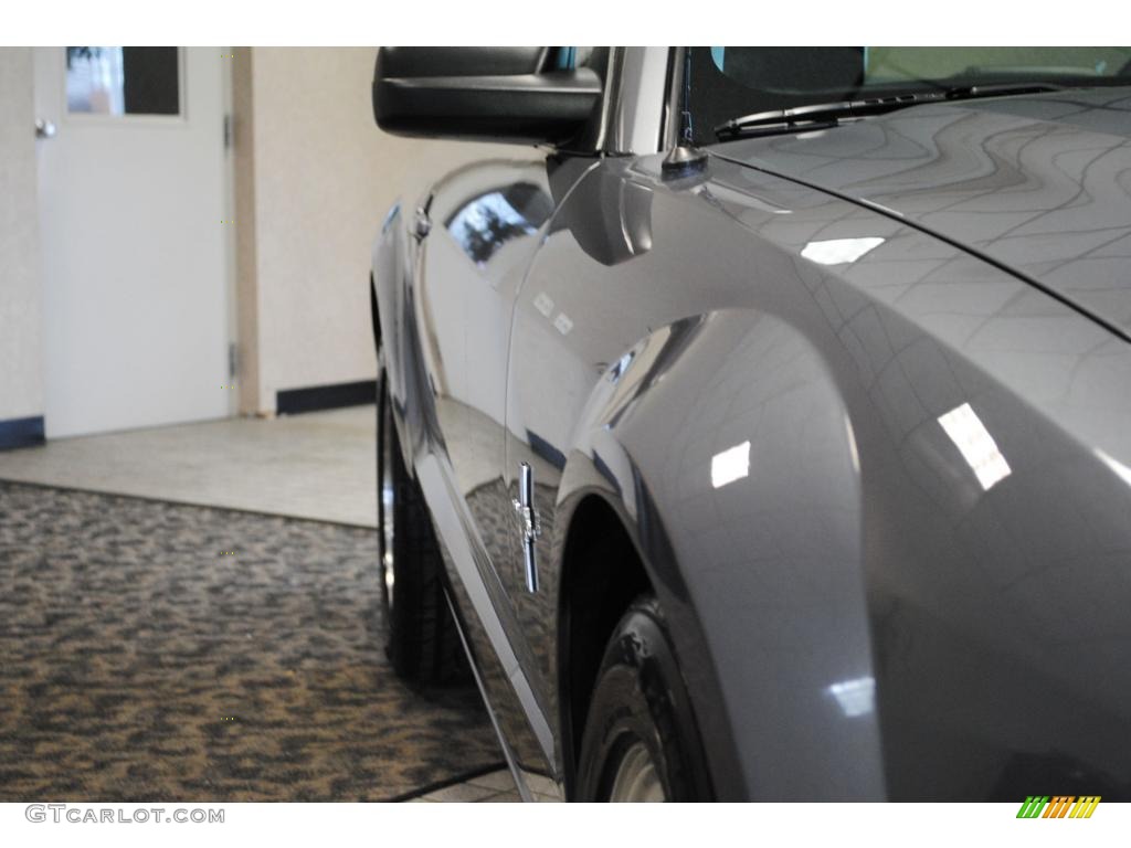 2006 Mustang V6 Premium Coupe - Tungsten Grey Metallic / Dark Charcoal photo #13