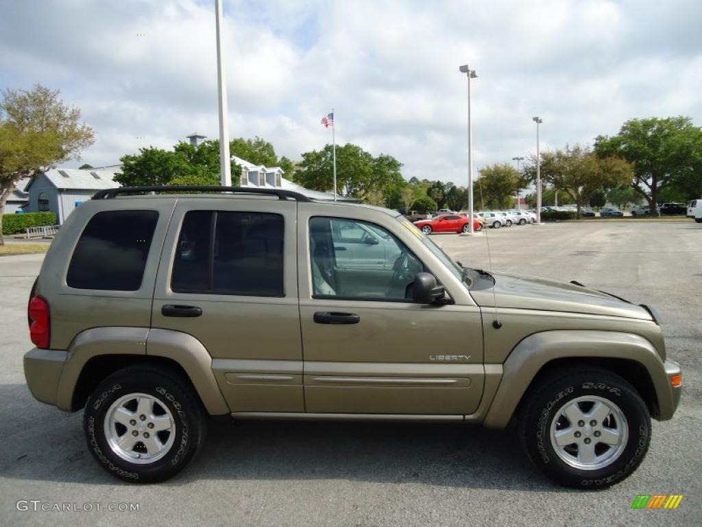 2004 Liberty Limited - Light Khaki Metallic / Light Taupe/Taupe photo #13