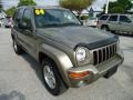 Light Khaki Metallic 2004 Jeep Liberty Limited Exterior
