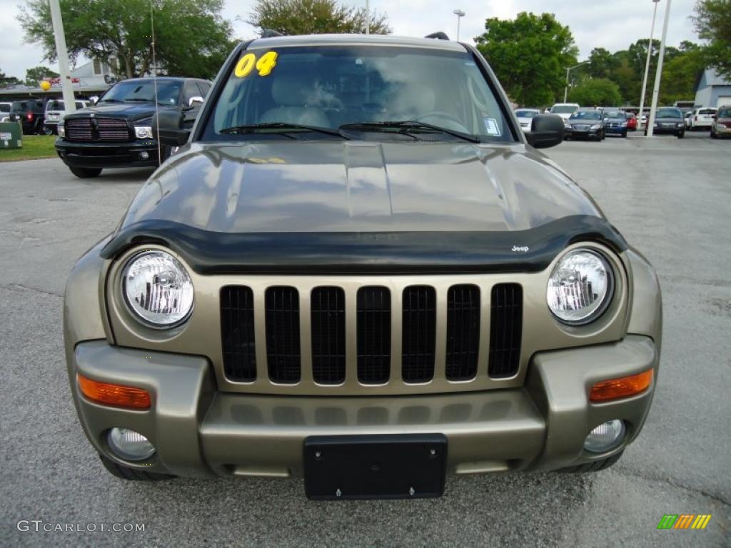 2004 Liberty Limited - Light Khaki Metallic / Light Taupe/Taupe photo #21